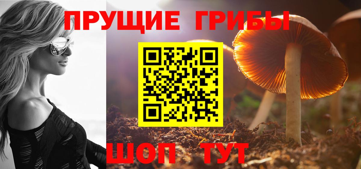 Псилоцибиновые грибы Psilocybe  Псилоцибиновые грибы GOLDEN TEACHER  Вход с VPN  Щёлково 